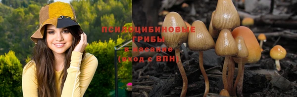 герыч Козельск
