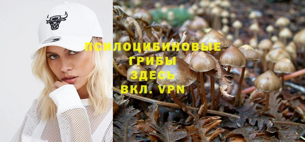 трава Козловка