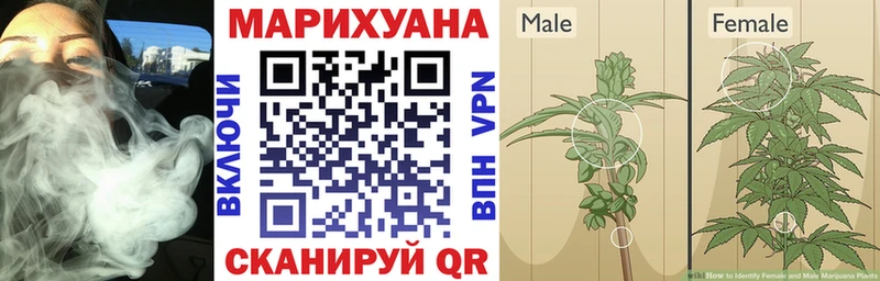 Каннабис Ganja  Купить  Бежецк 